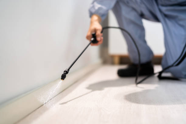 Licensed Pest Control service in Southern Pines, NC - Show Me Pest Control