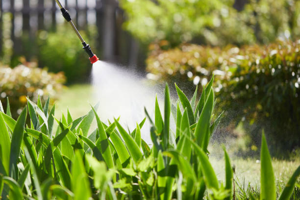 24/7 Emergency Wasp Removal experts in Southern Pines, NC