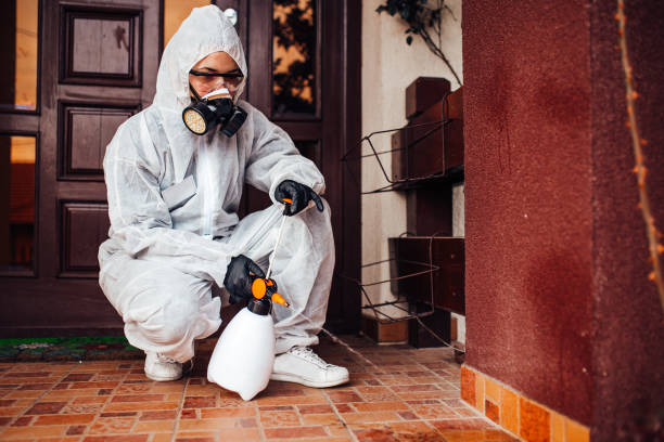 Reliable Wasp Removal contractor in Southern Pines, NC by Show Me Pest Control